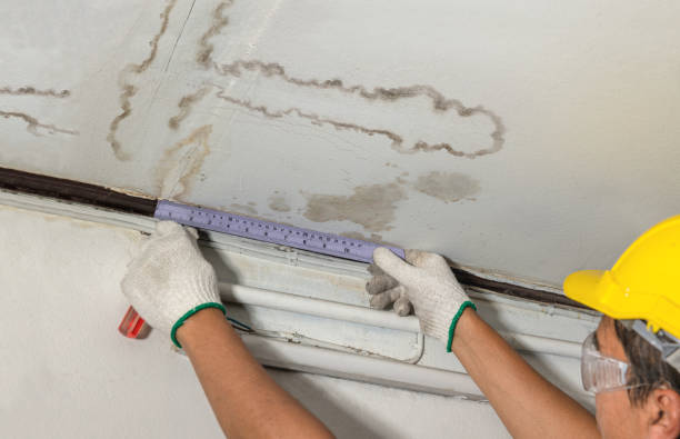 Affordable Burst Pipe Water Damage solutions in Trenton, NJ